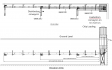 Livebottom/transfer conveyors