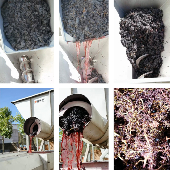 Grape Hopper with Stainless Steel shaftless spiral conveyor